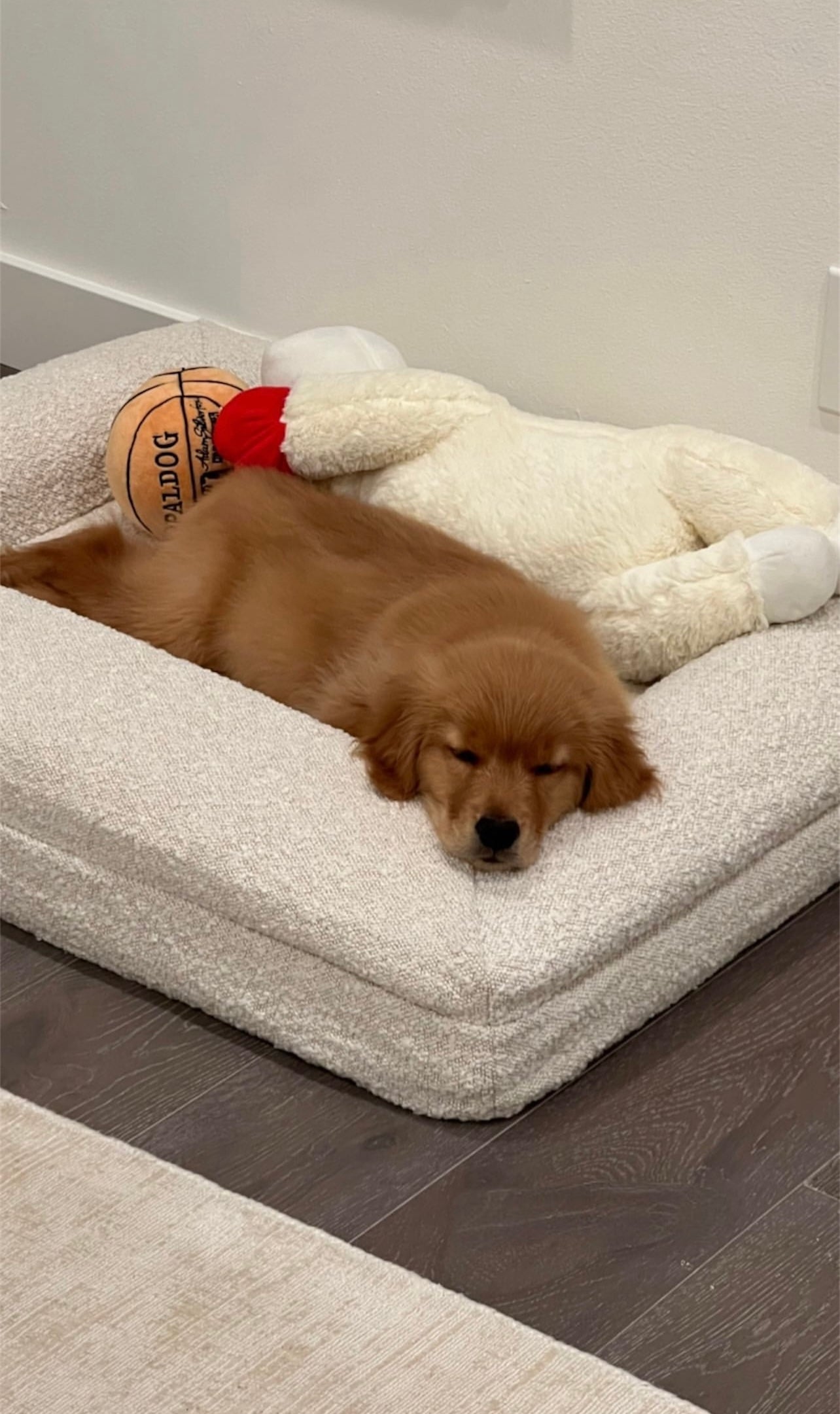 Frankies Bed + Bouclé Cover