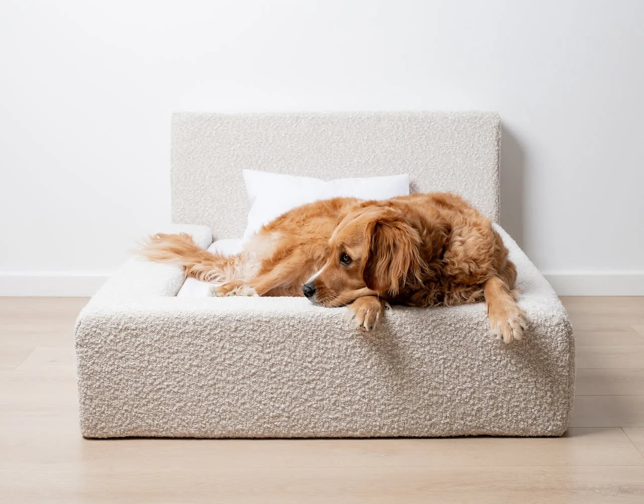 Frankies Soft Cloud Bed
