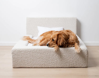 Frankies Soft Cloud Bed