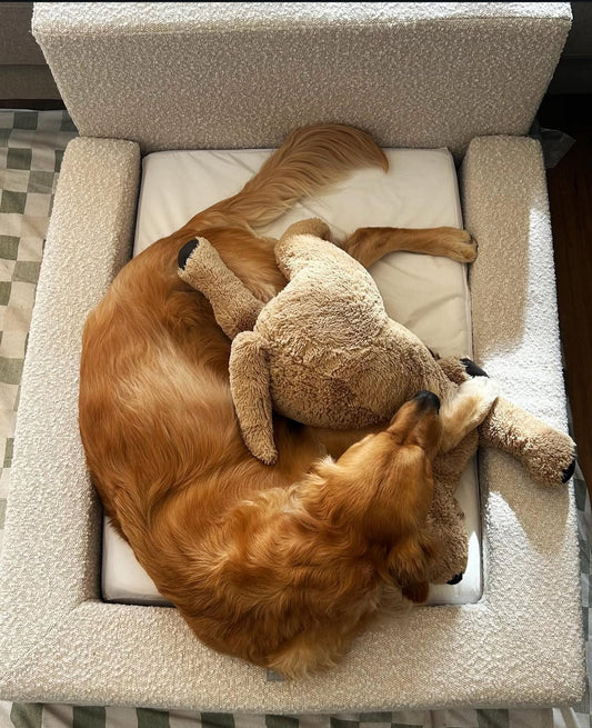 Frankies Soft Cloud Bed