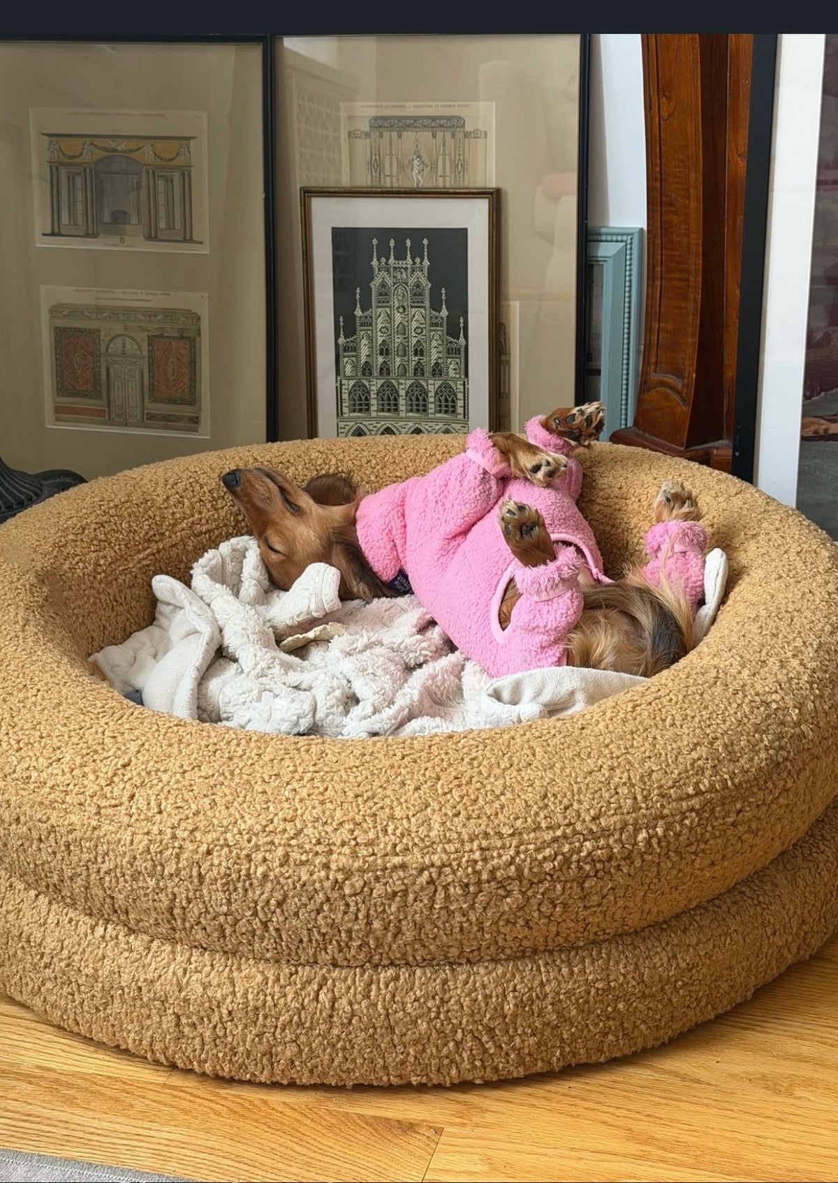 Frankies Round Bed + Cover