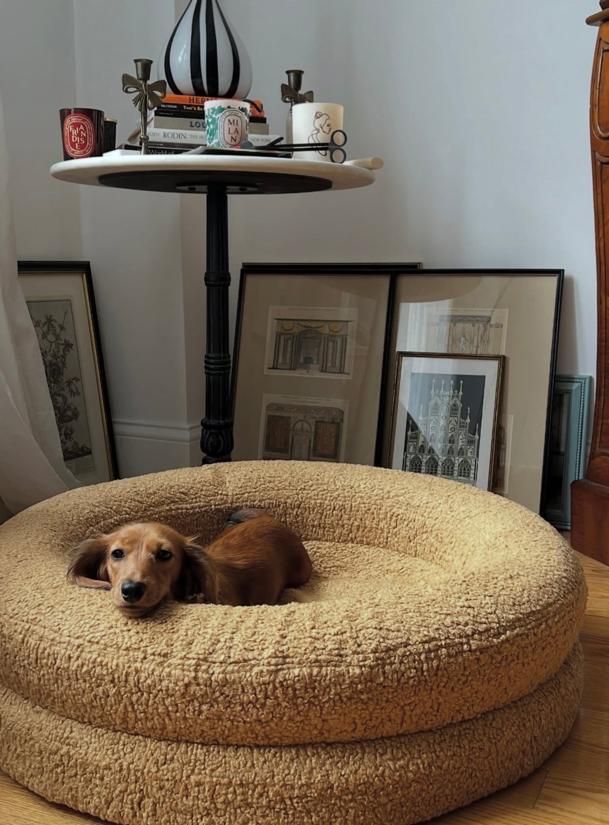 Frankies Round Bed + Cover