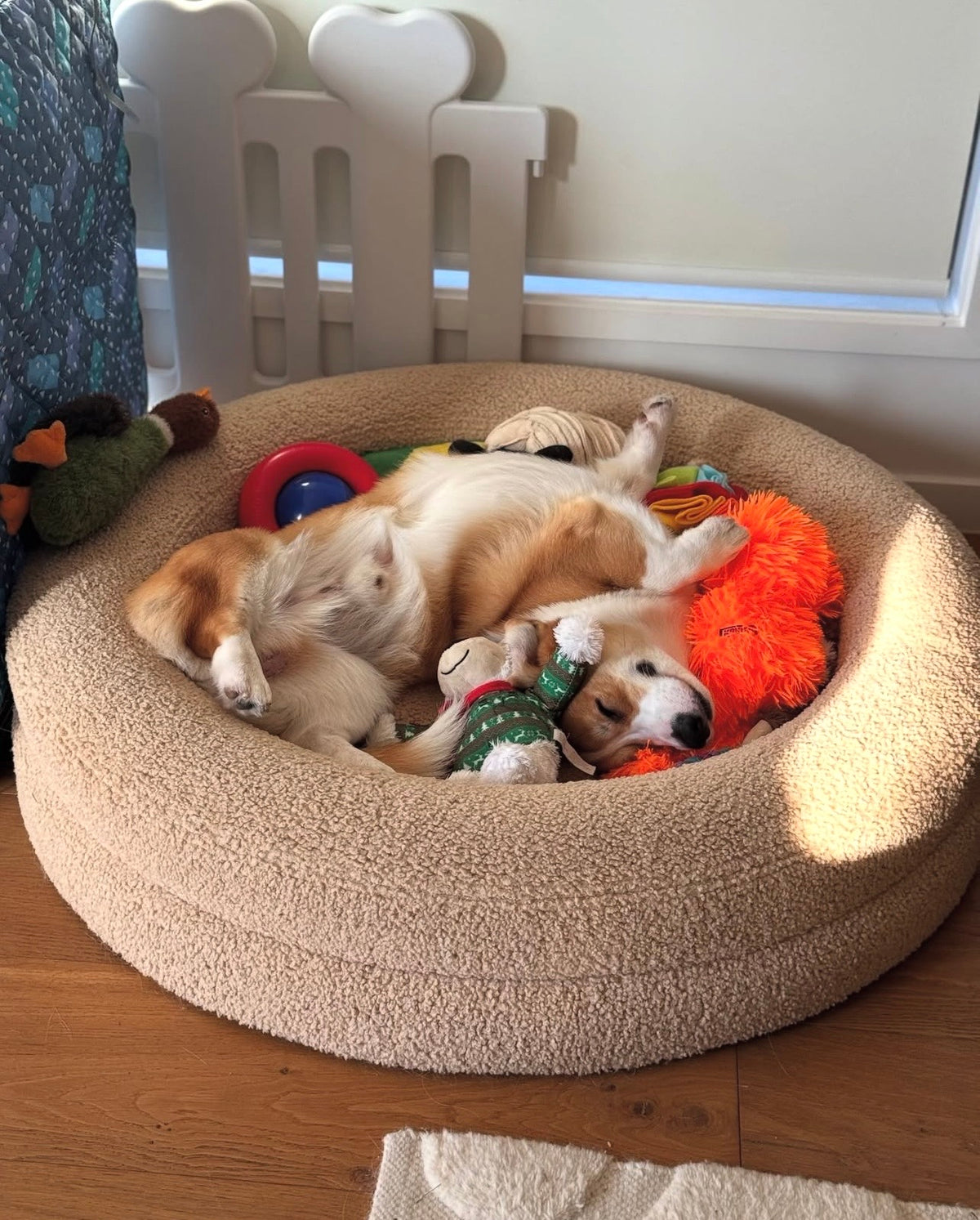 Frankies Round Bed + Cover