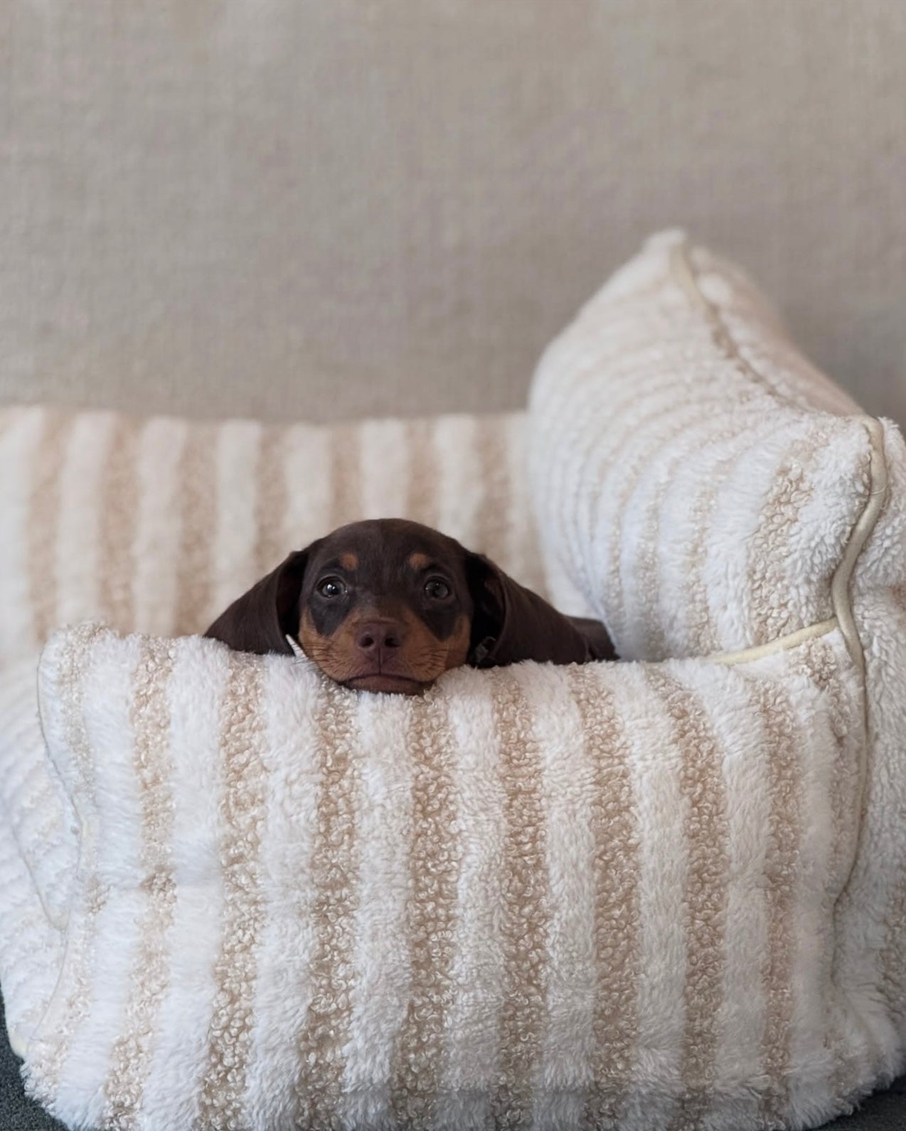 Frankies Cloud Sofa